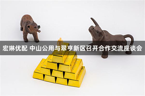 宏琳优配 中山公用与翠亨新区召开合作交流座谈会