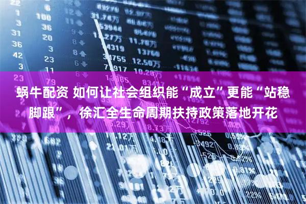 蜗牛配资 如何让社会组织能“成立”更能“站稳脚跟”，徐汇全生命周期扶持政策落地开花