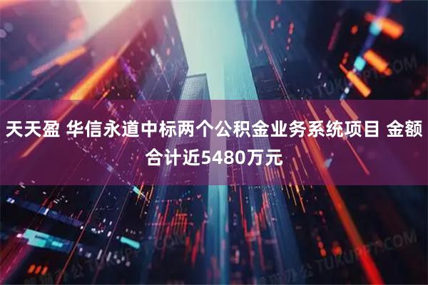 天天盈 华信永道中标两个公积金业务系统项目 金额合计近5480万元